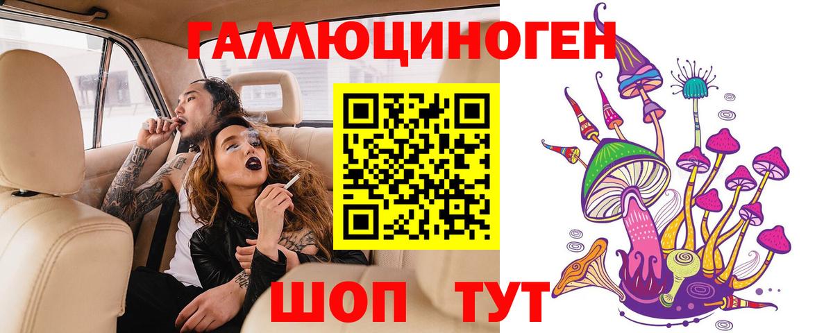 Галлюциногенные грибы Psilocybe Жигулёвск